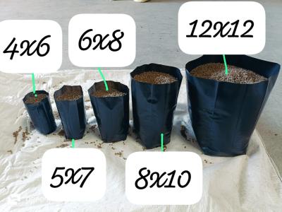 Nursery Grow Bag Black Color